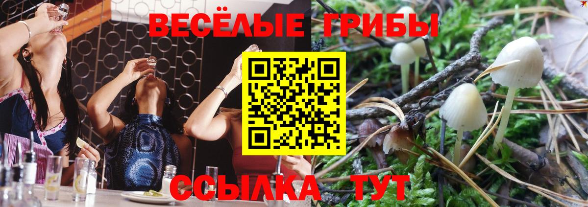 Галлюциногенные грибы MAGIC MUSHROOMS Самара