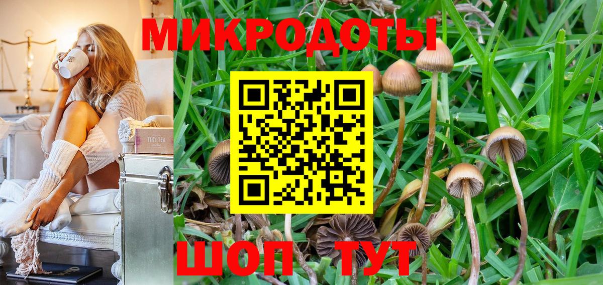 Самара  Галлюциногенные грибы мухоморы  Вход с VPN 